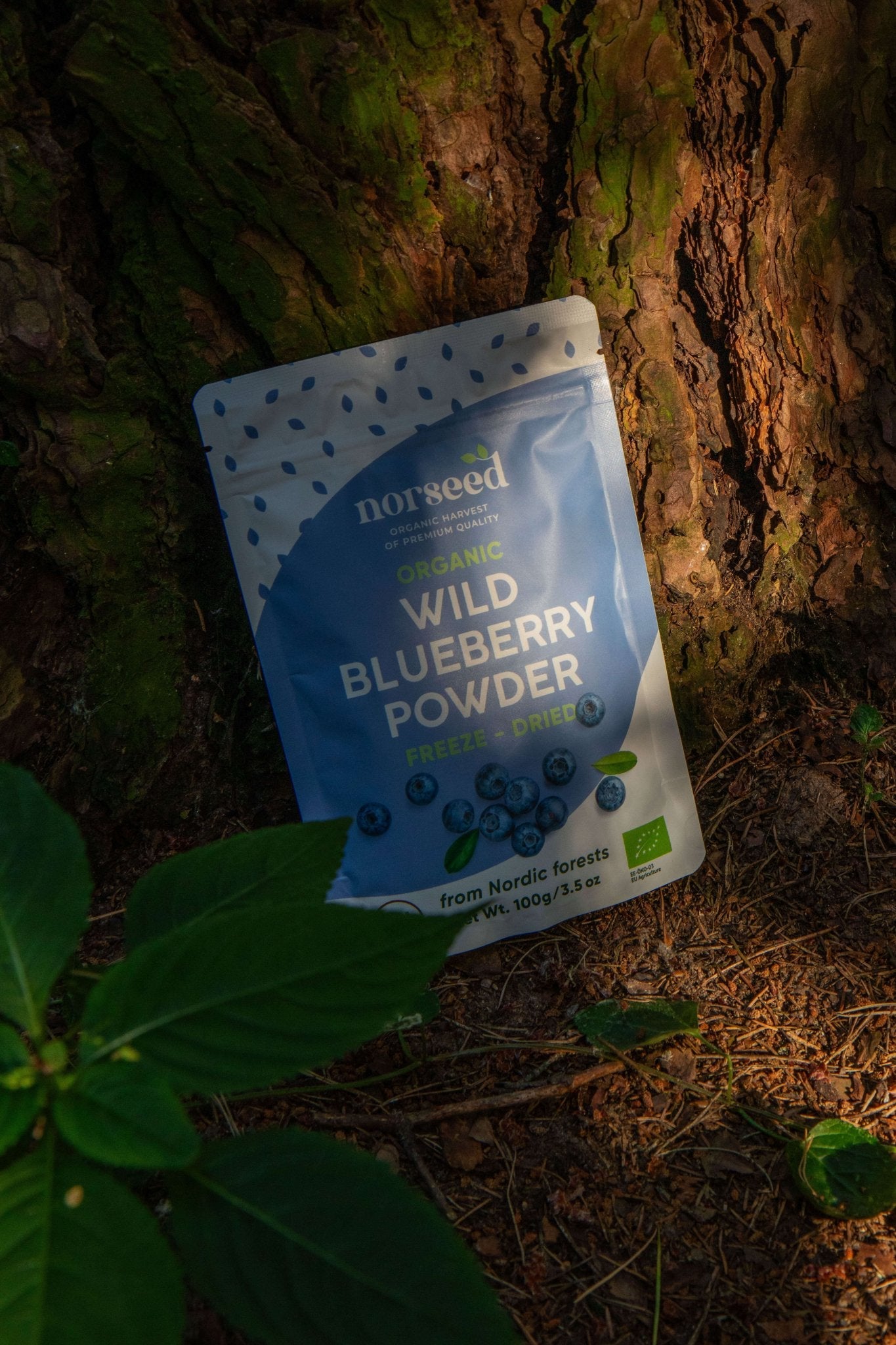 Freeze-Dried Organic Wild Blueberry Powder
